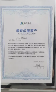 靳高妍